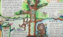 绿色环保获奖手抄报作品