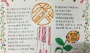 同呼吸共命运手抄报