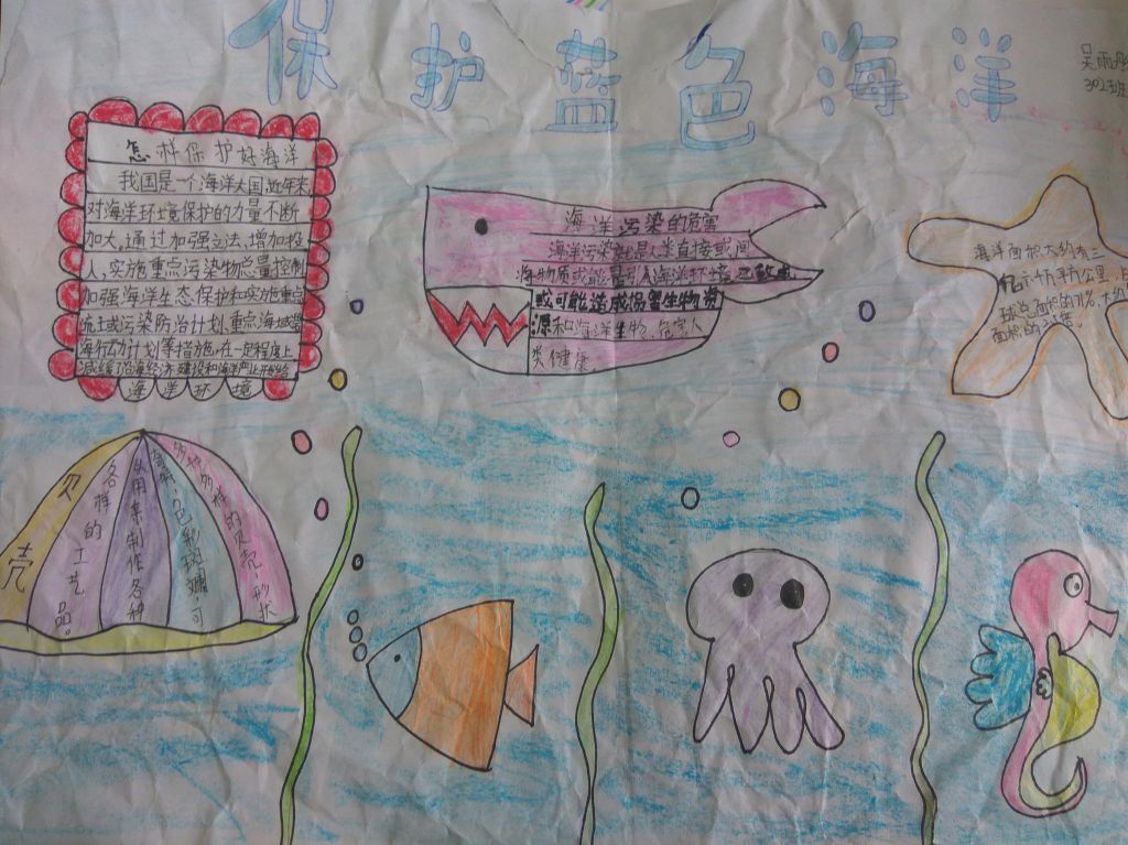 海底世界手抄报，保护蓝色海洋