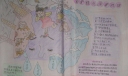 爱护绿化保护地球手抄报