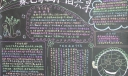 绿色家园和谐共享手抄报