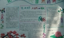 昆虫世界手抄报-大自然的神奇