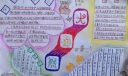 奇妙的大自然手抄报图片