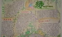 关于绿色的手抄报图片