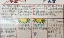 冬至大雪手抄报