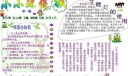 小小环保报电子图片欣赏