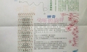写好中国字说好普通话手抄报