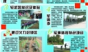 国防教育军事训练宣传板报