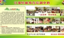 江都轻松教育培训中心绿色风格展板模板