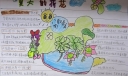 夏天的荷花手抄报图片