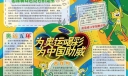 里约奥运手抄报图片大全