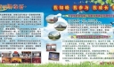 大学生新学期展板：我知晓 我参与 我成长 我快乐