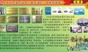 某学校“明礼诚信”课题成果展板七：成果篇
