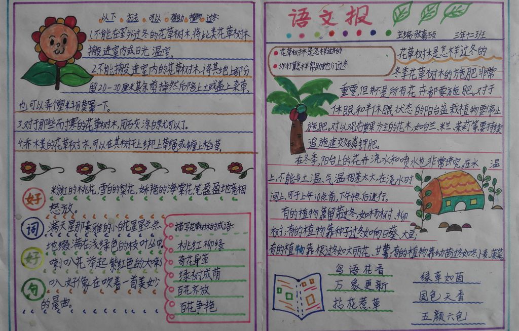 让花草树木好过冬手抄报图片