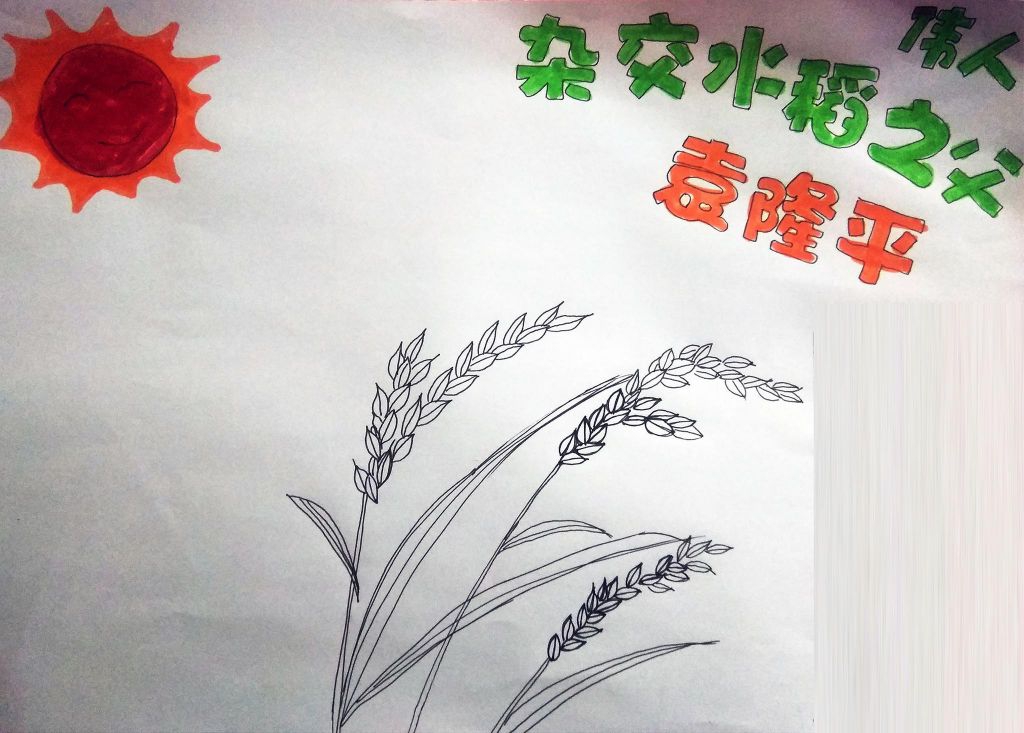 伟人杂交水稻之父袁隆平,关于袁隆平的手抄报 伟人杂交水稻之父袁隆平,关于袁隆平的手抄报
