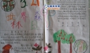 世界森林日手抄报版面设计图