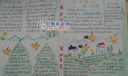 保护环境爱护鸟类宣传手抄报
