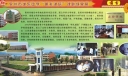 某学校“明礼诚信”课题成果展板一：前言