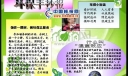 电子版环保手抄报