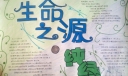 生命之源手抄报图片