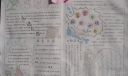 感恩自然手抄报一等奖作品