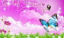 母亲节节日快乐板报设计