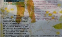 世界名人手抄报图片大全