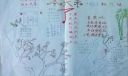 迎接冬天手抄报