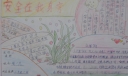 安全在我身旁手抄报大全