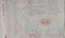 元旦假期制作的手抄报