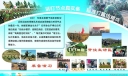 部队演习板报设计图