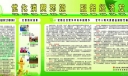 工商板报图片