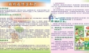 结核病防治知识宣传板报