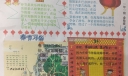 我在老家过春节手抄报