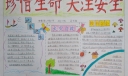 珍惜生命关注安全手抄报图片