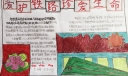 爱护铁路珍爱生命手抄报