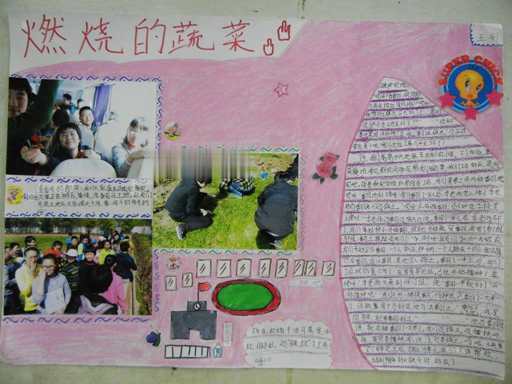 种植手抄报图片大全_燃烧的蔬菜手抄报