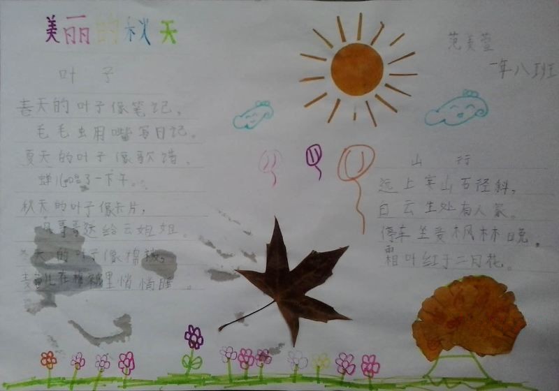 关于树叶的手抄报图片大全 关于树叶的手抄报图片大全