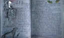 狼图腾手抄报版面设计图