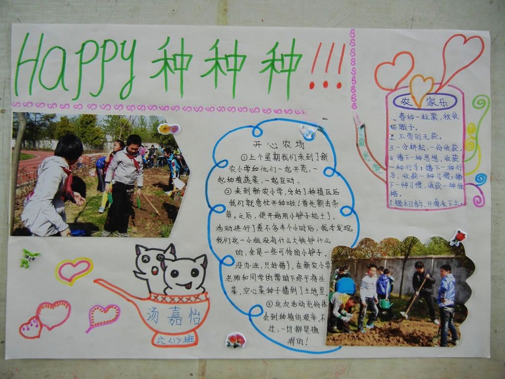 种植手抄报图片大全_燃烧的蔬菜手抄报