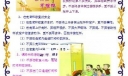 小学生校园安全常识手抄报