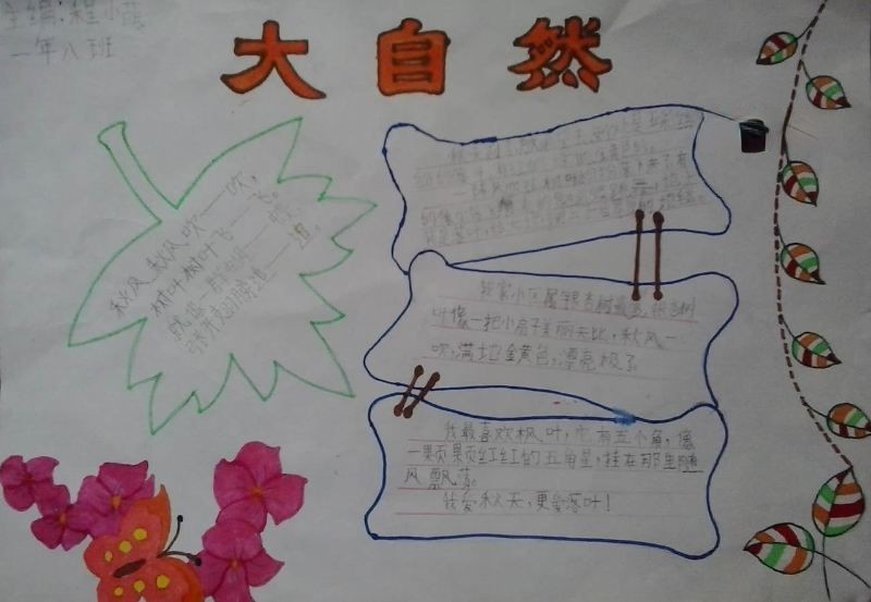 关于树叶的手抄报图片大全 关于树叶的手抄报图片大全