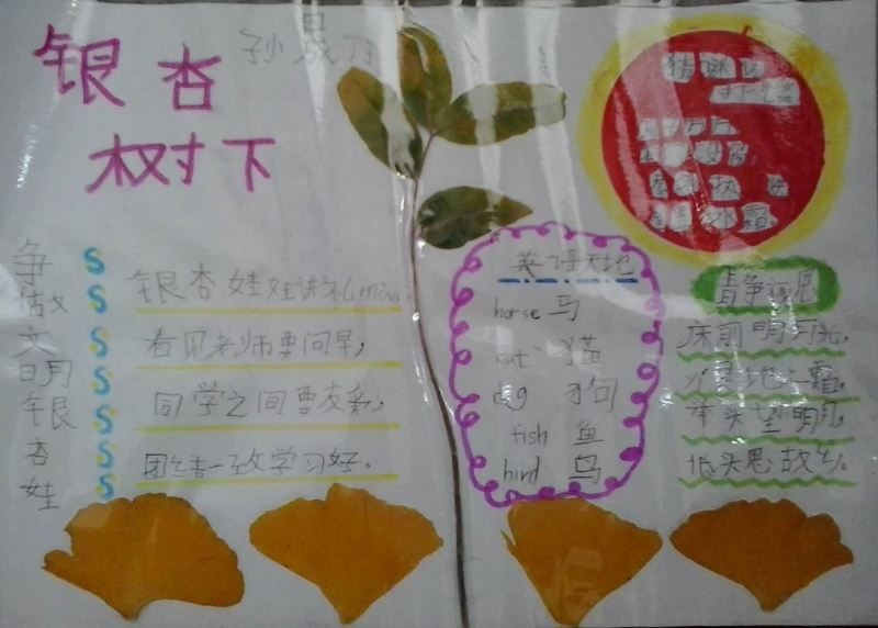 关于树叶的手抄报图片大全 关于树叶的手抄报图片大全