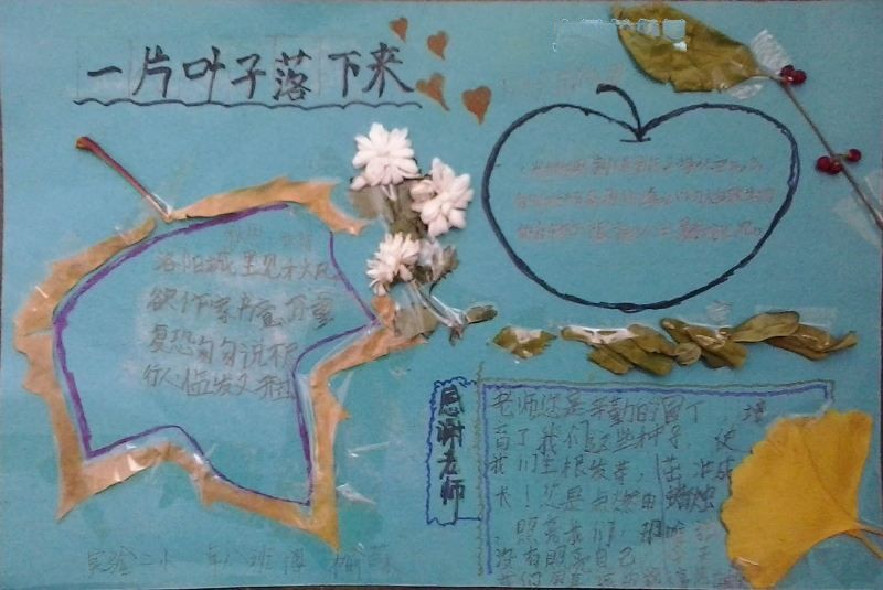 关于树叶的手抄报图片大全 关于树叶的手抄报图片大全