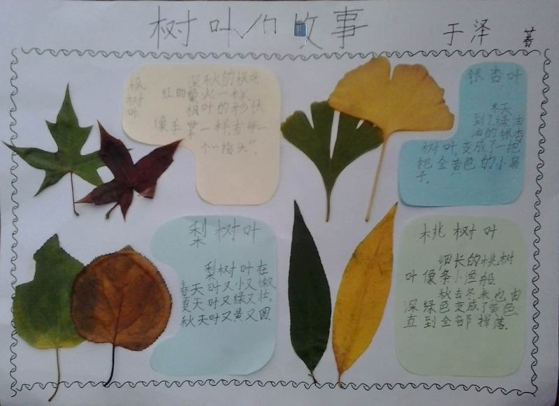 关于树叶的手抄报图片大全 关于树叶的手抄报图片大全