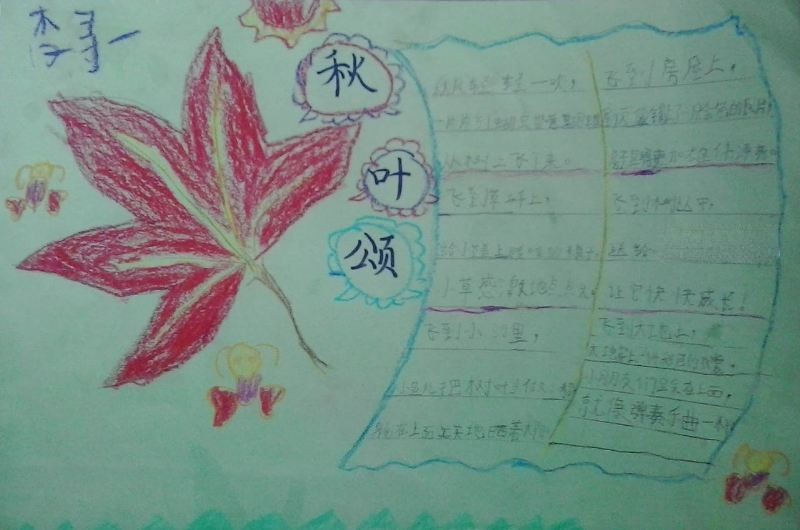 关于树叶的手抄报图片大全 关于树叶的手抄报图片大全