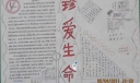 中学生珍爱生命手抄报
