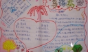 鸟语花香手抄报图片
