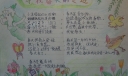寻觅春天的足迹手抄报