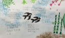 春分手抄报_立春手抄报